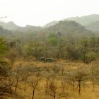 Breitmaulnashörner im Matobo National Park