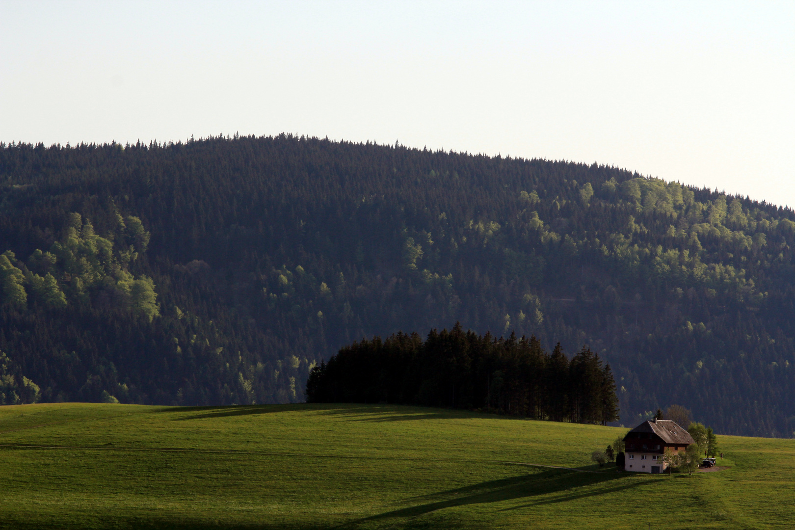 Breitnau im Schwarzwald I