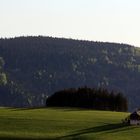 Breitnau im Schwarzwald I