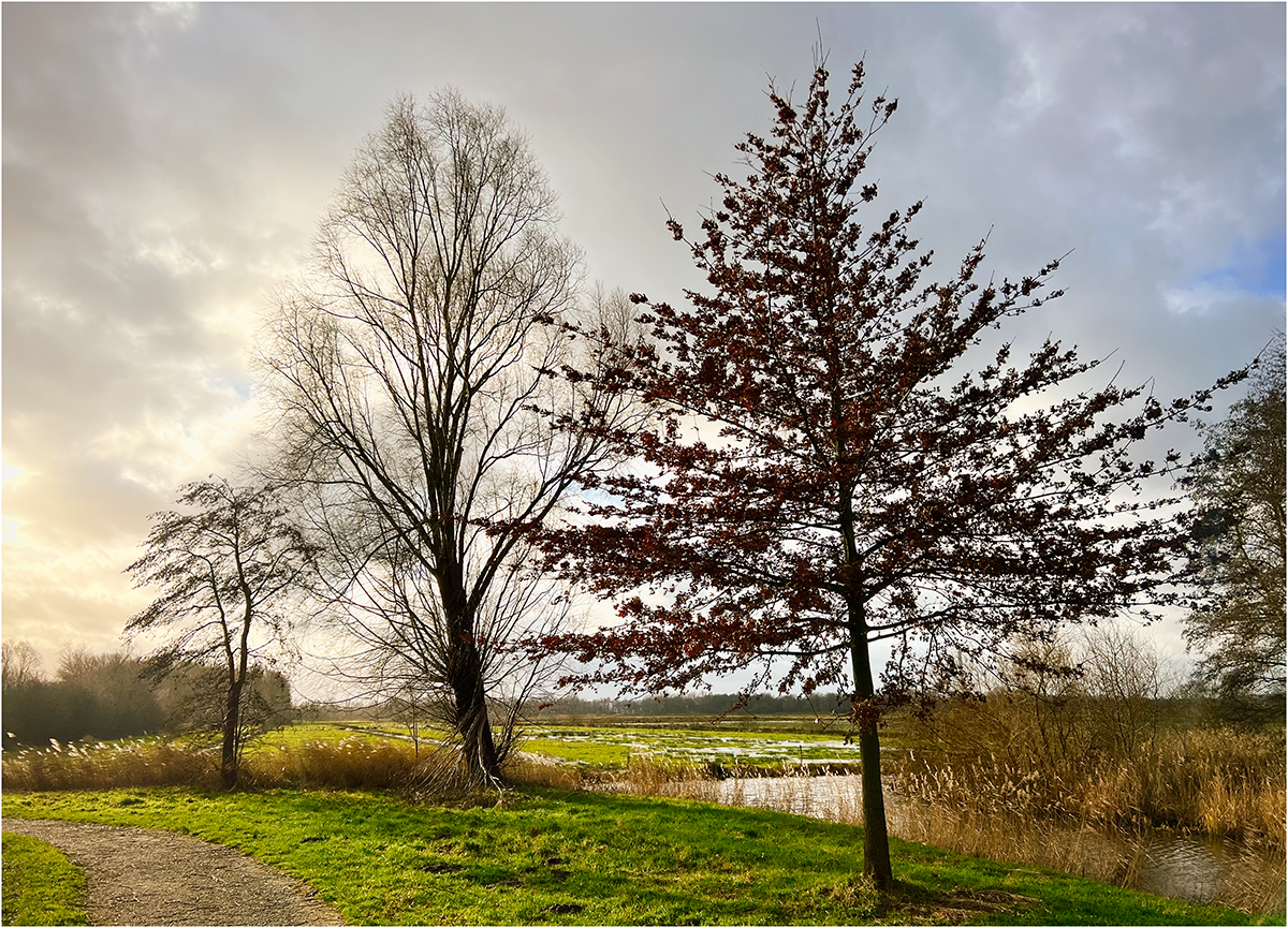 Bremen - Hollerland