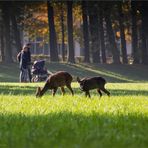 Bremen naturnah