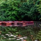 Bremen_Bürgerpark_Emmasee