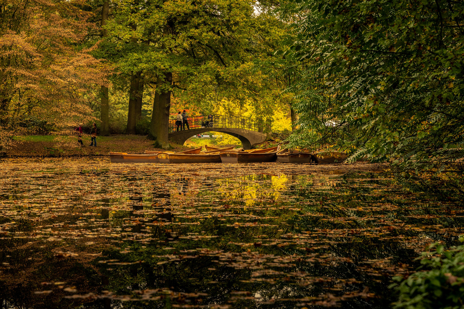 Bremer Bürgerpark 