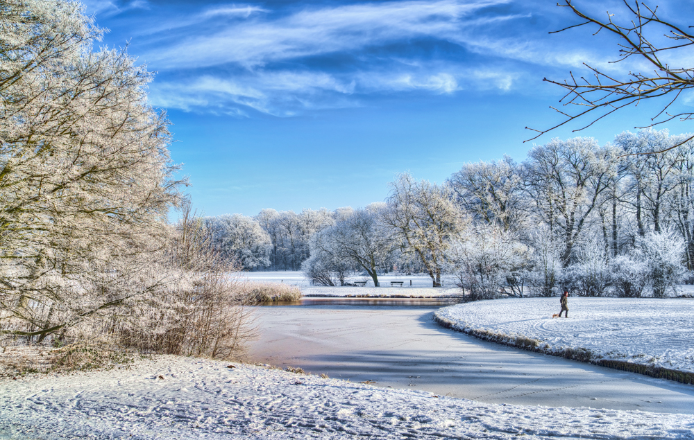 Bremer Bürgerpark im Winter