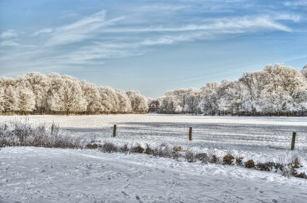 Bremer Bürgerpark mit der Meierei