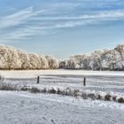 Bremer Bürgerpark mit der Meierei