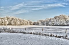 Bremer Bürgerpark mit der Meierei