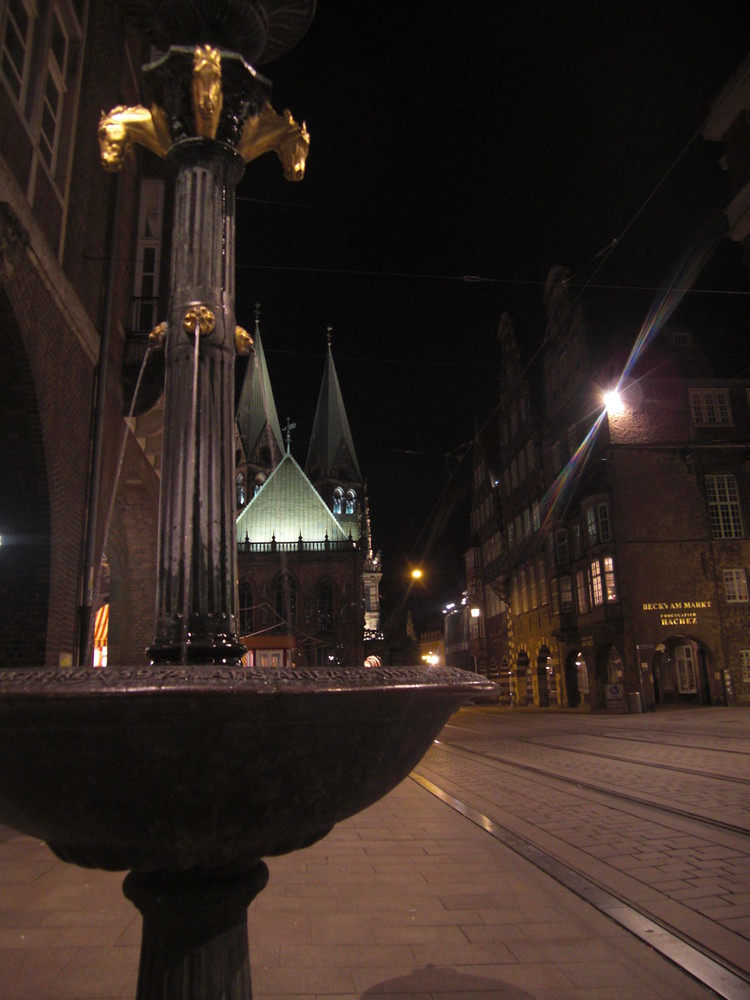 Bremer Dom bei Nacht