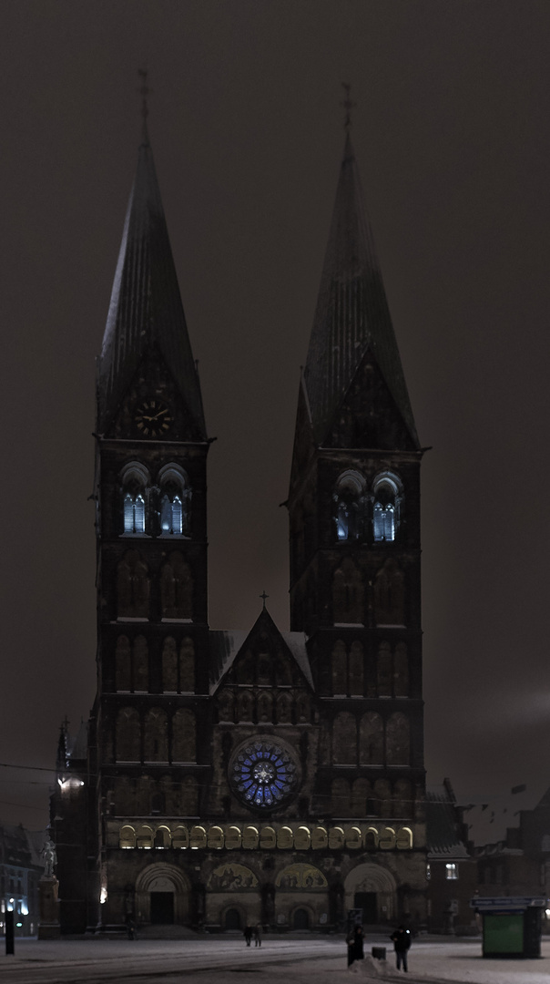 Bremer Dom in Winternacht