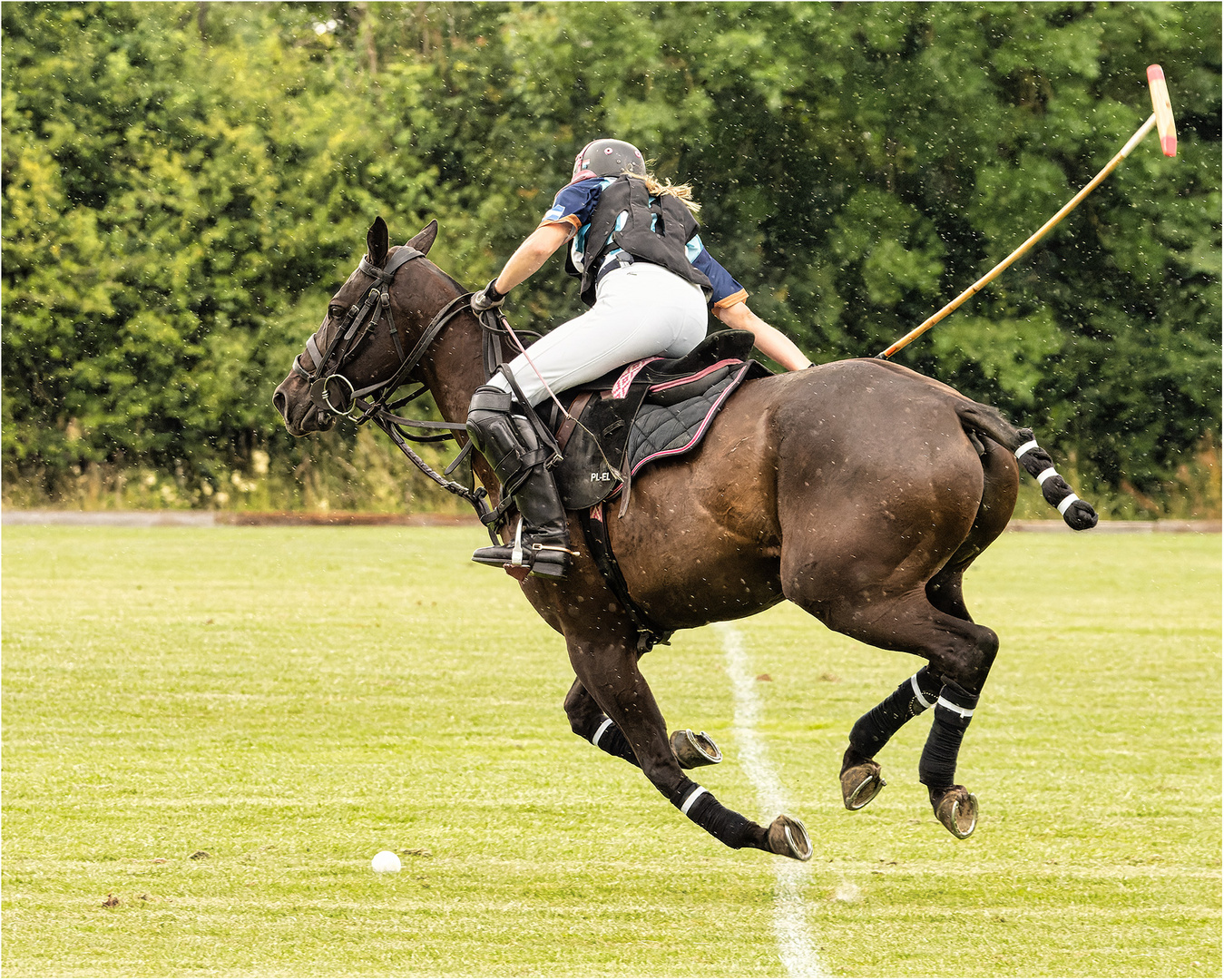 Bremer Polo Cup