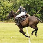 Bremer Polo Cup