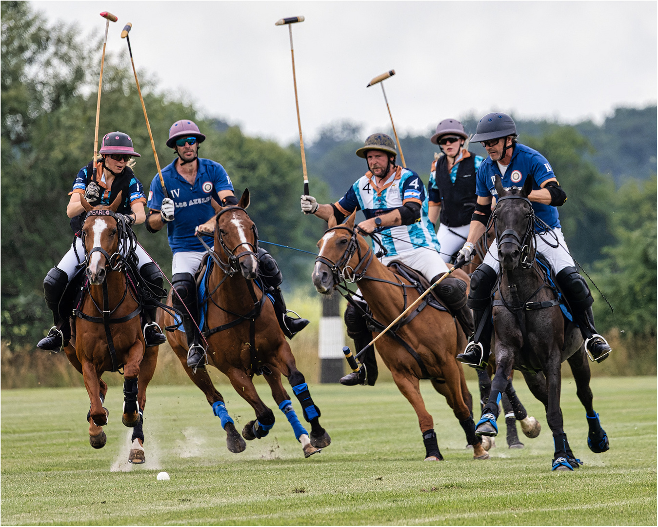 Bremer Polo Cup