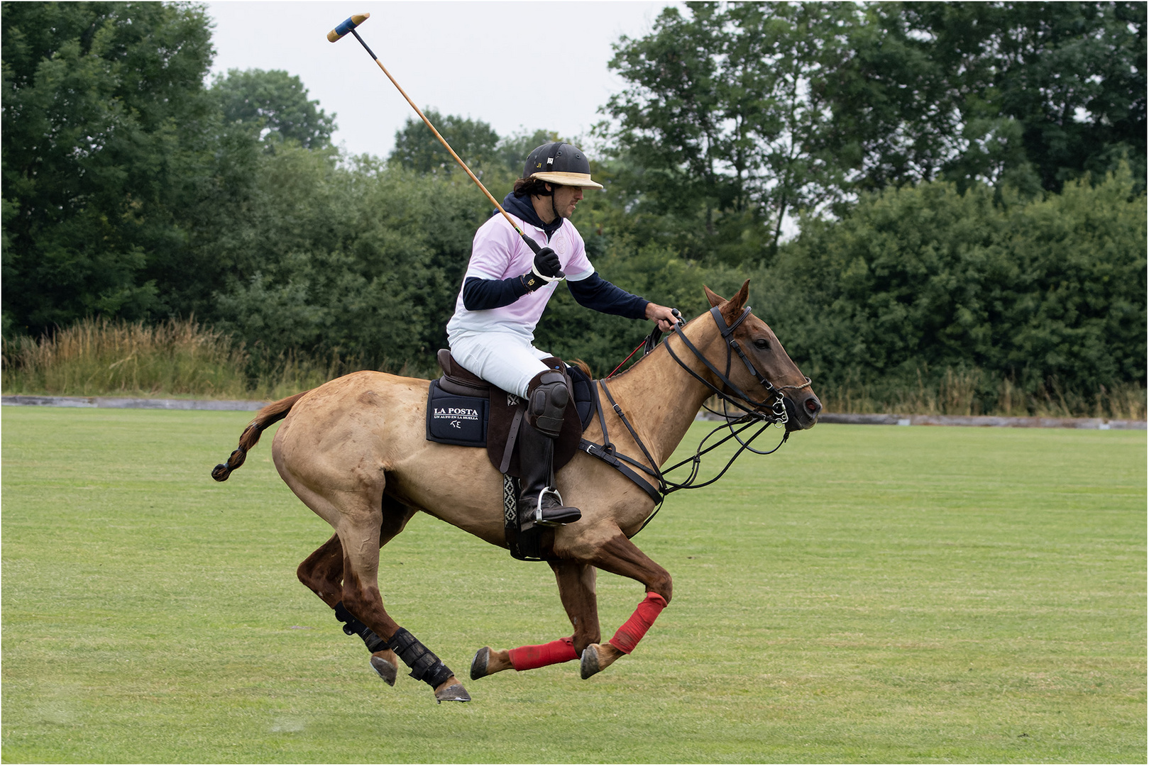 Bremer Polo Cup