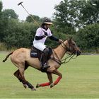 Bremer Polo Cup