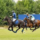 Bremer Polo Cup