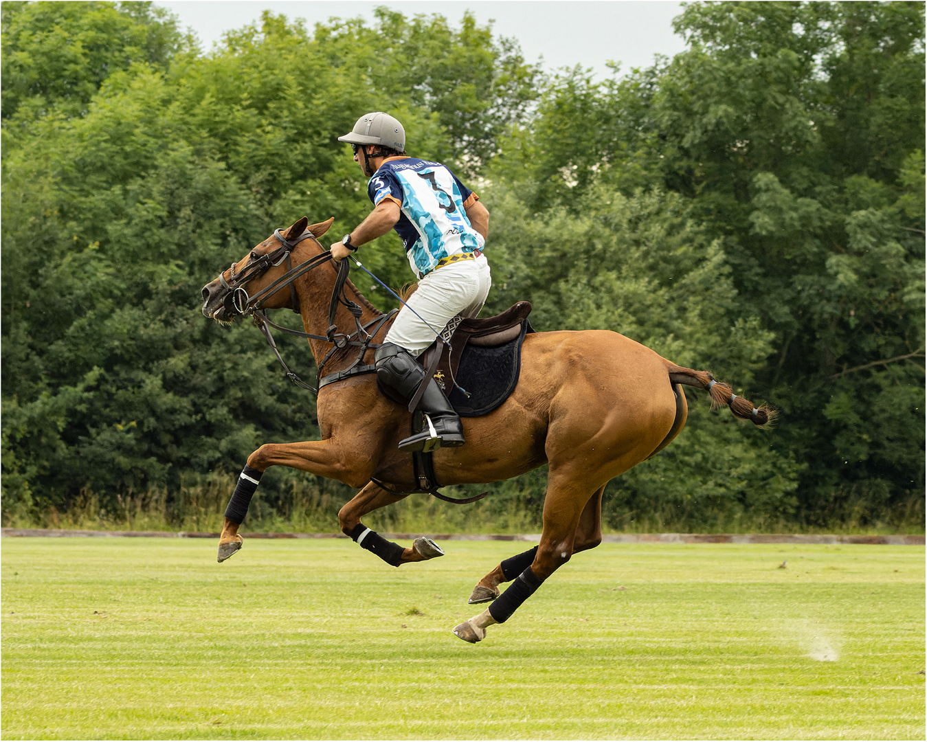 Bremer Polo Cup