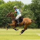 Bremer Polo Cup