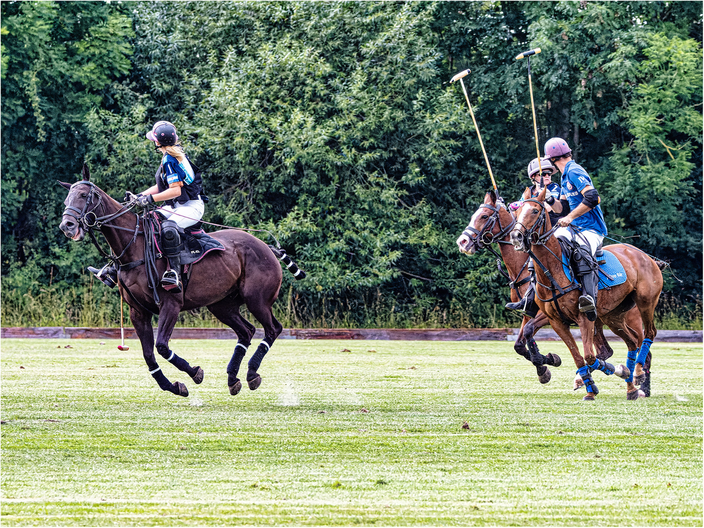 Bremer Polo Cup