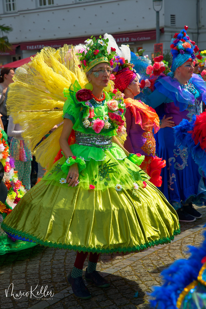 Bremer Samba Karneval „Frühlingserwachen“ 2023