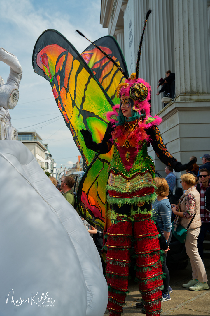 Bremer Samba Karneval „Frühlingserwachen“ 2023