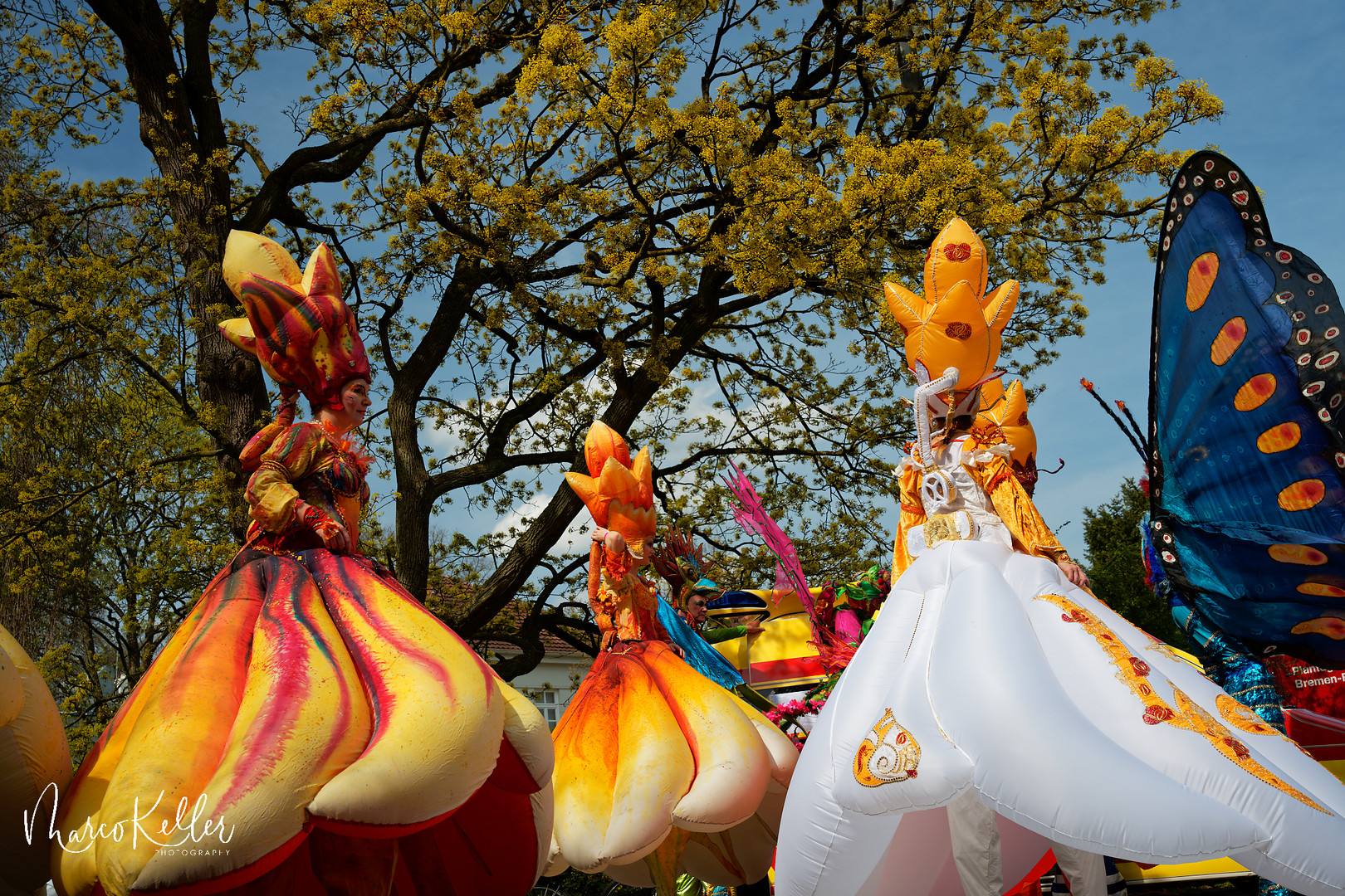 Bremer Samba Karneval „Frühlingserwachen“ 2023