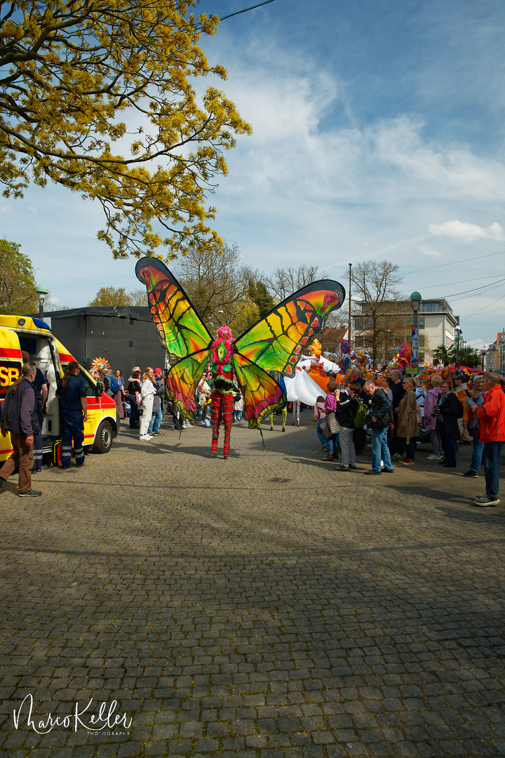 Bremer Samba Karneval „Frühlingserwachen“ 2023