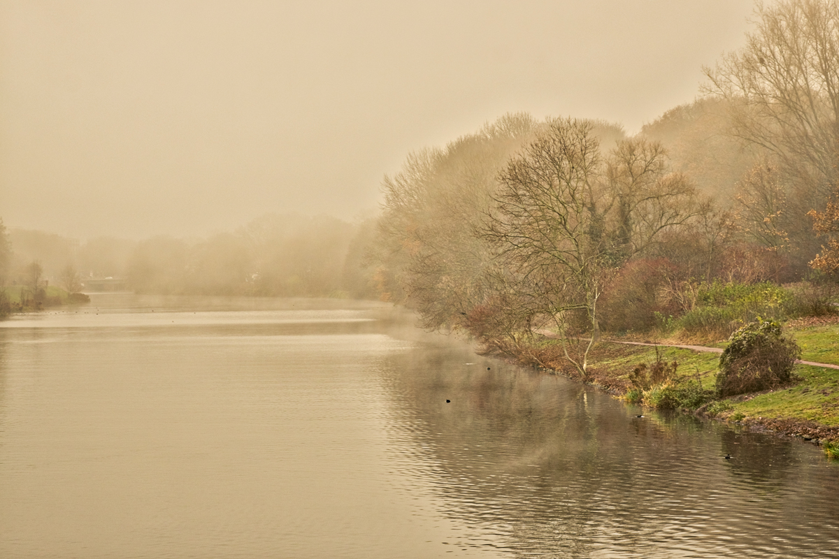 Bremer Werdersee im Nebel