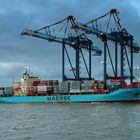 Bremerhaven - Hafen - Nysted Maersk