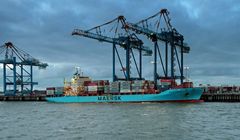 Bremerhaven - Hafen - Nysted Maersk