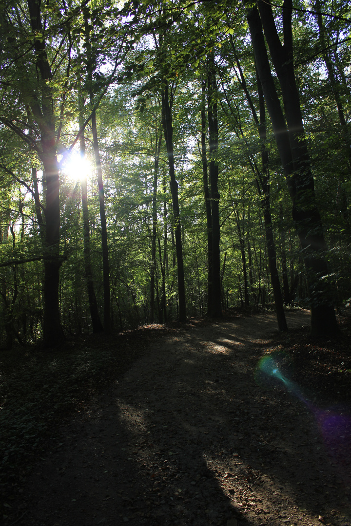 Bremerhavens Bürgerpark