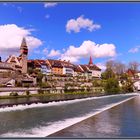 Bremgarten an der Reuss 2021-05-25 097 (16) IV ©