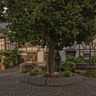 Bremm Mosel