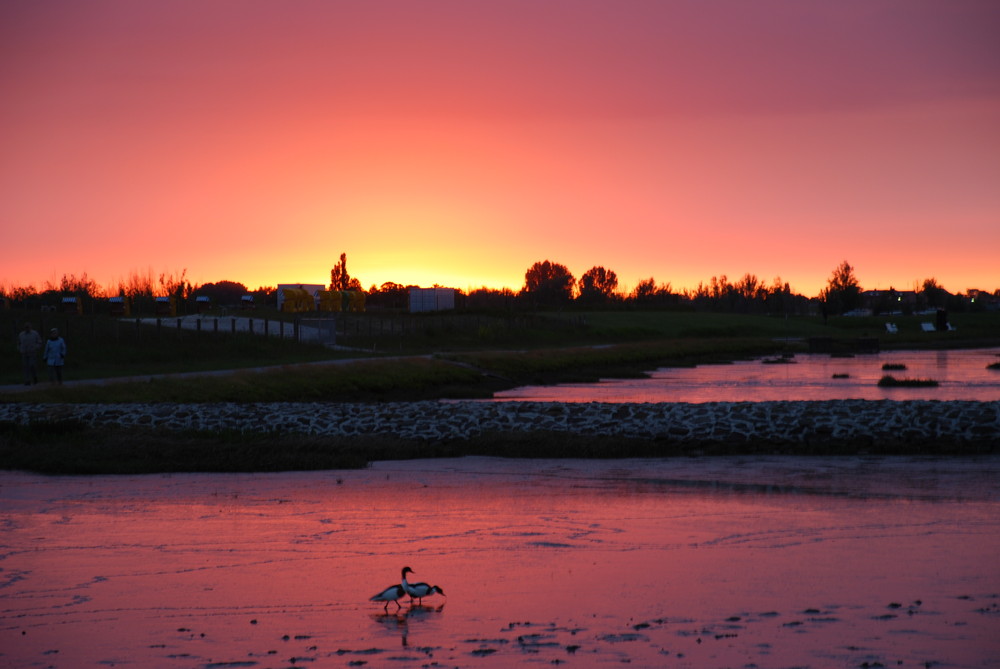 brenneder Horizont