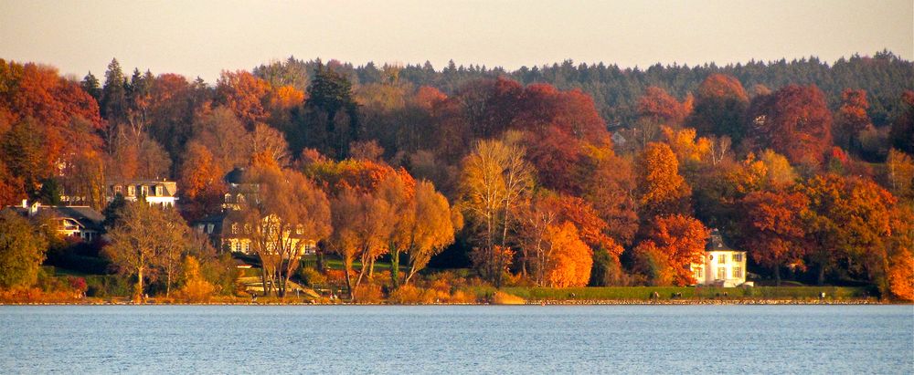 Brennende Bäume II