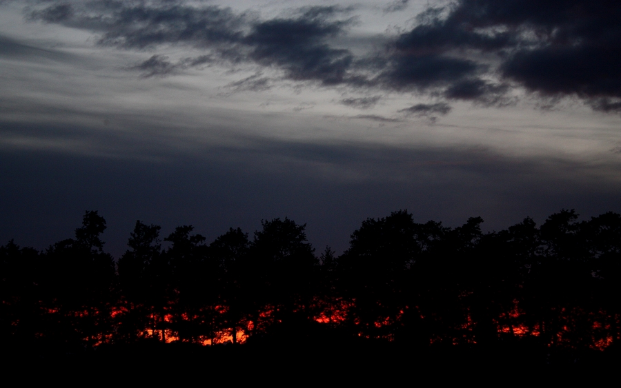 brennende Bäume (oder Sonnenuntergang)