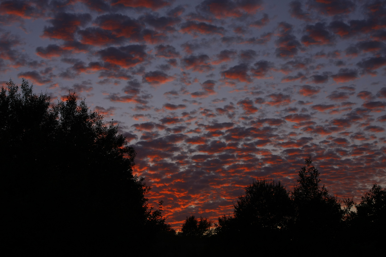 Brennende Schäfchen(wolken)