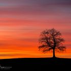 "Brennender" Himmel