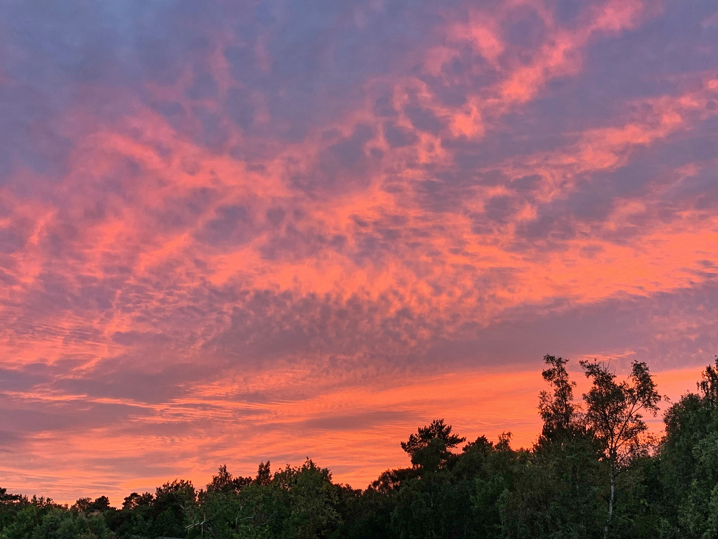 Brennender Himmel am letzten Abend in Schweden...