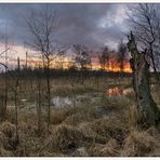 Brennender Himmel im Henstedter Moor (Reload)