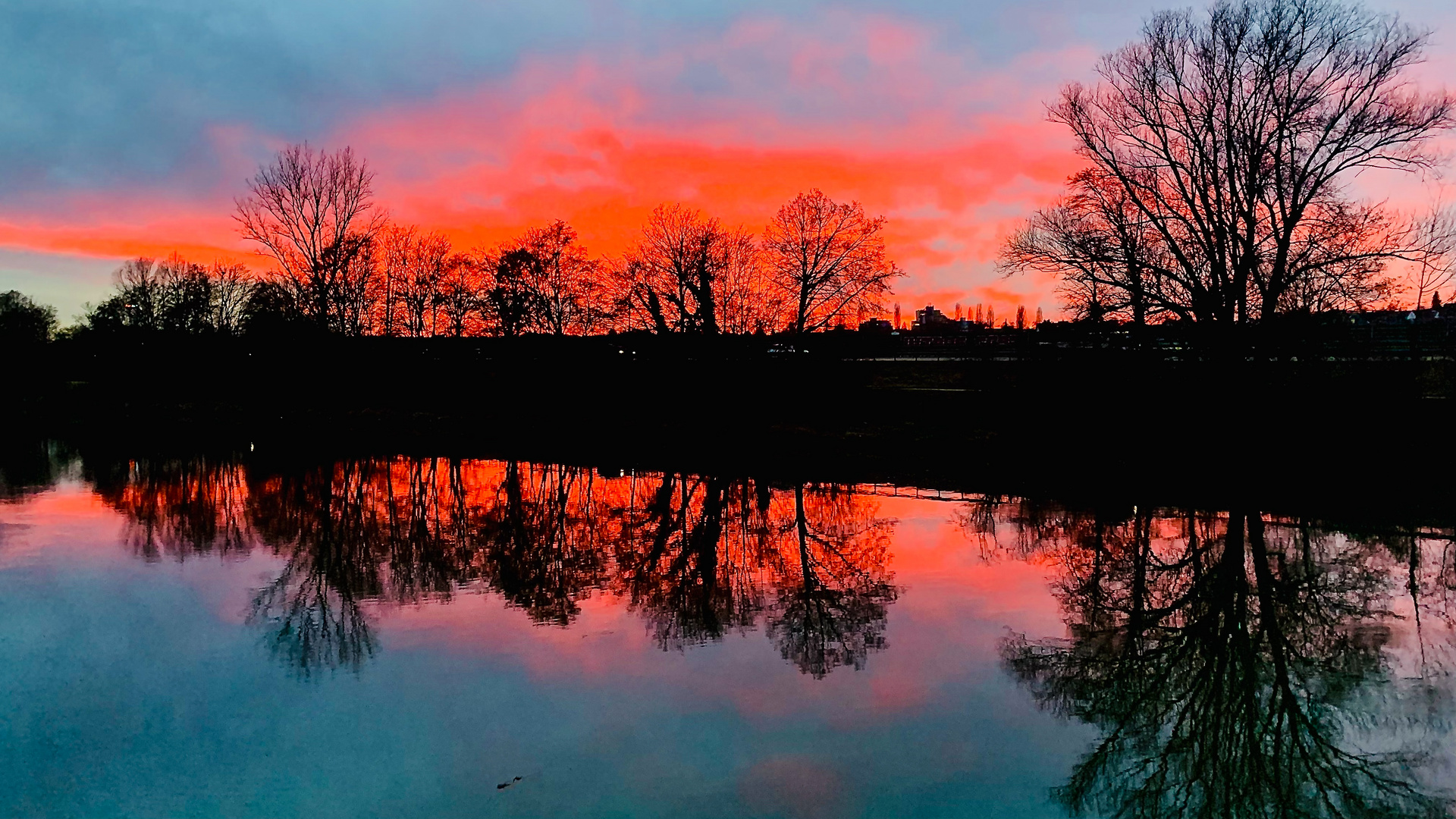 Brennender Himmel über dem Neckar