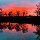 Brennender Himmel über dem Neckar