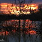 Brennender Himmel über den Rhein