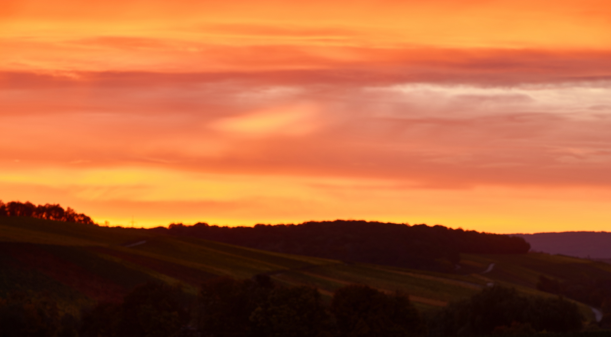 Brennender Himmel über den Weinbergen