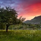 Brennender Sonnenaufgang bei Unterlenningen