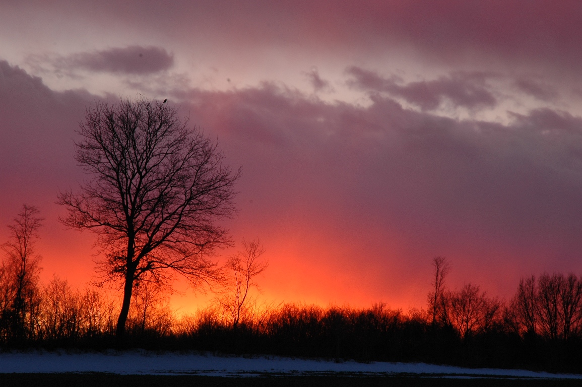 "brennender" Sonnenuntergang März `10