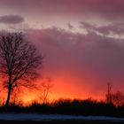 "brennender" Sonnenuntergang März `10