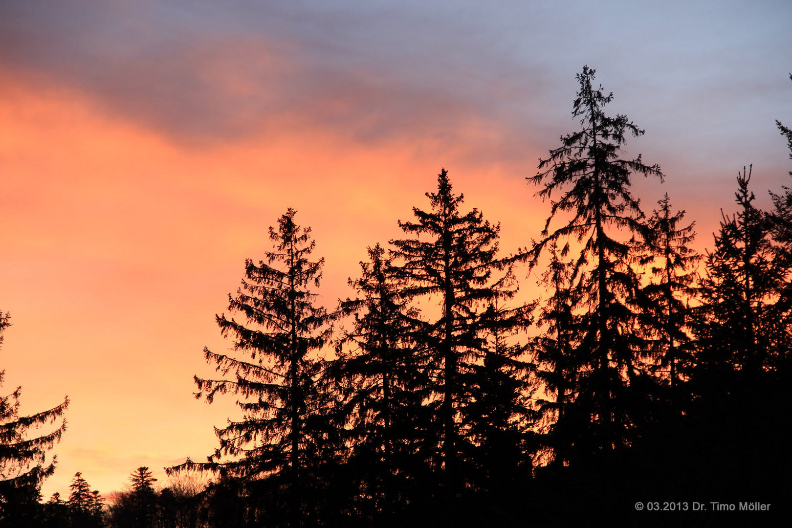 Brennender Wald am Morgen