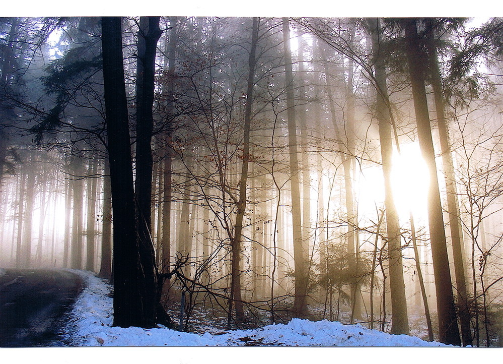 Brennender Wald im Winter?