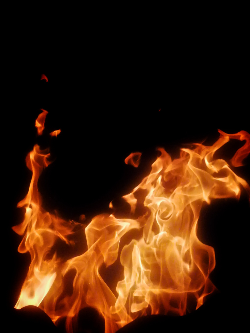 Brennendes Einhorn Foto & Bild natur, flammen, feuer Bilder auf