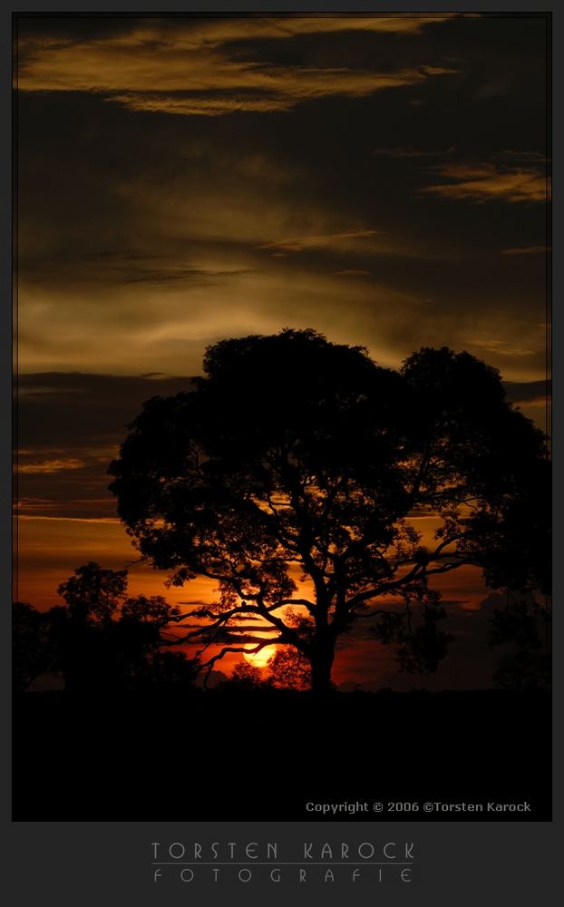 Brennendes Pantanal